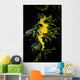 Leafy Seadragon Phycodurus Eques Wall Decal Design 4