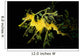 Leafy Seadragon Phycodurus Eques Wall Decal Design 3