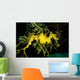 Leafy Seadragon Phycodurus Eques Wall Decal Design 2