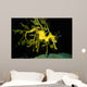 Leafy Seadragon Phycodurus Eques Wall Decal Design 1