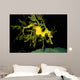 Leafy Seadragon Phycodurus Eques Wall Decal Design 1