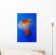Pacific Sea Nettle Chrysaora Wall Decal Design 2