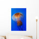 Pacific Sea Nettle Chrysaora Wall Decal Design 2