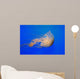Pacific Sea Nettle Chrysaora Wall Decal Design 1