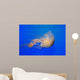 Pacific Sea Nettle Chrysaora Wall Decal Design 1