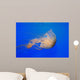 Pacific Sea Nettle Chrysaora Wall Decal Design 1