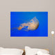 Pacific Sea Nettle Chrysaora Wall Decal Design 1
