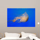 Pacific Sea Nettle Chrysaora Wall Decal Design 1
