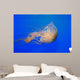 Pacific Sea Nettle Chrysaora Wall Decal Design 1