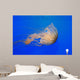 Pacific Sea Nettle Chrysaora Wall Decal Design 1