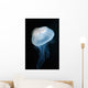 Moon Jellyfish Aurelia Aurita Wall Decal Design 8