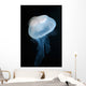 Moon Jellyfish Aurelia Aurita Wall Decal Design 8