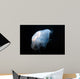 Moon Jellyfish Aurelia Aurita Wall Decal Design 7