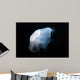 Moon Jellyfish Aurelia Aurita Wall Decal Design 7