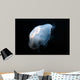 Moon Jellyfish Aurelia Aurita Wall Decal Design 7