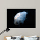 Moon Jellyfish Aurelia Aurita Wall Decal Design 7
