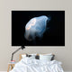 Moon Jellyfish Aurelia Aurita Wall Decal Design 7
