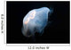 Moon Jellyfish Aurelia Aurita Wall Decal Design 7