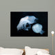 Moon Jellyfish Aurelia Aurita Wall Decal Design 6