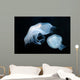 Moon Jellyfish Aurelia Aurita Wall Decal Design 6