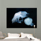 Moon Jellyfish Aurelia Aurita Wall Decal Design 6