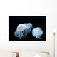 Moon Jellyfish Aurelia Aurita Wall Decal Design 5