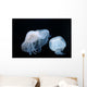 Moon Jellyfish Aurelia Aurita Wall Decal Design 5