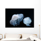 Moon Jellyfish Aurelia Aurita Wall Decal Design 5