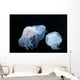 Moon Jellyfish Aurelia Aurita Wall Decal Design 5