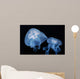 Moon Jellyfish Aurelia Aurita Wall Decal Design 4