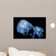 Moon Jellyfish Aurelia Aurita Wall Decal Design 4
