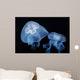 Moon Jellyfish Aurelia Aurita Wall Decal Design 4