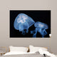 Moon Jellyfish Aurelia Aurita Wall Decal Design 4