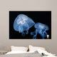 Moon Jellyfish Aurelia Aurita Wall Decal Design 4