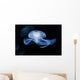 Moon Jellyfish Aurelia Aurita Wall Decal Design 3
