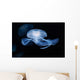Moon Jellyfish Aurelia Aurita Wall Decal Design 3