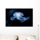 Moon Jellyfish Aurelia Aurita Wall Decal Design 3