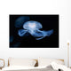 Moon Jellyfish Aurelia Aurita Wall Decal Design 3