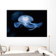 Moon Jellyfish Aurelia Aurita Wall Decal Design 3