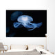Moon Jellyfish Aurelia Aurita Wall Decal Design 3