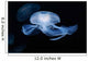 Moon Jellyfish Aurelia Aurita Wall Decal Design 3