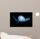 Moon Jellyfish Aurelia Aurita Wall Decal Design 2