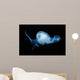Moon Jellyfish Aurelia Aurita Wall Decal Design 2