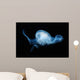 Moon Jellyfish Aurelia Aurita Wall Decal Design 2