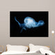 Moon Jellyfish Aurelia Aurita Wall Decal Design 2