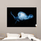 Moon Jellyfish Aurelia Aurita Wall Decal Design 2