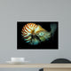 Chambered Nautilus Nautilus Pompilius Wall Decal