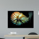 Chambered Nautilus Nautilus Pompilius Wall Decal