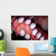 Giant Pacific Octopus British Wall Decal