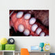 Giant Pacific Octopus British Wall Decal